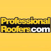 Professional Roofers image 1